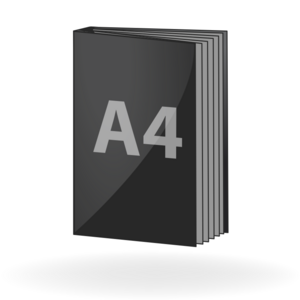 Examen Thesis DIN A4